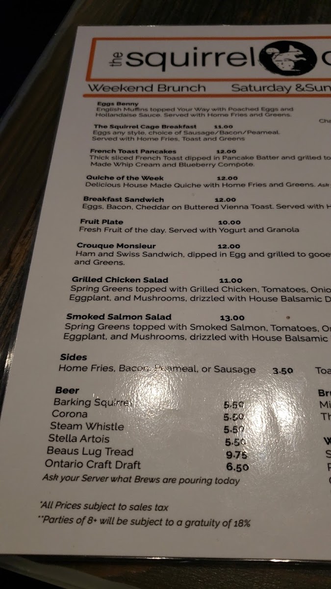 The Squirrel Cage - 2