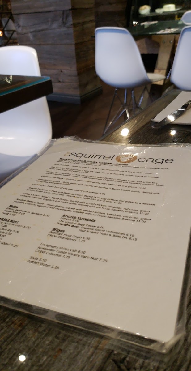 The Squirrel Cage - 4