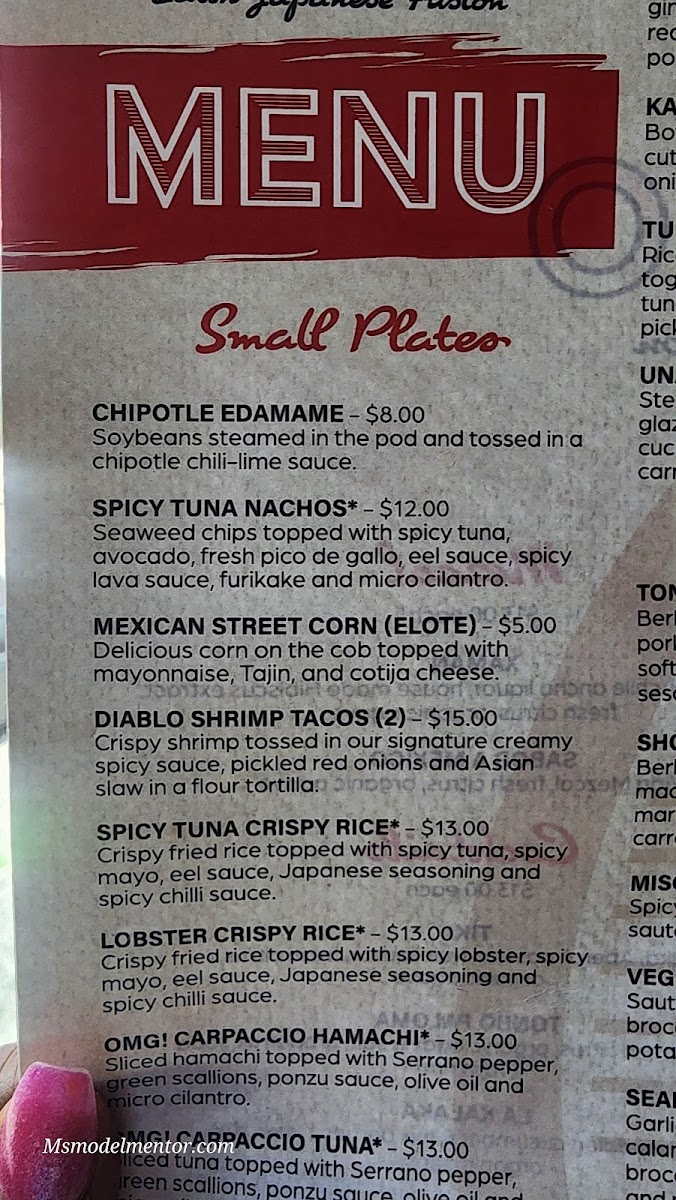 Tonbo Latin-Japanese Fusion - 9