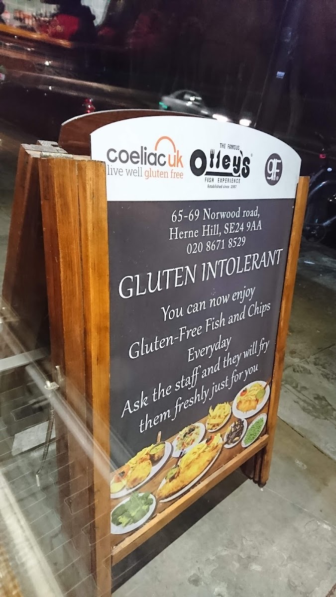 Olley's Fish and Chips Experience - 6