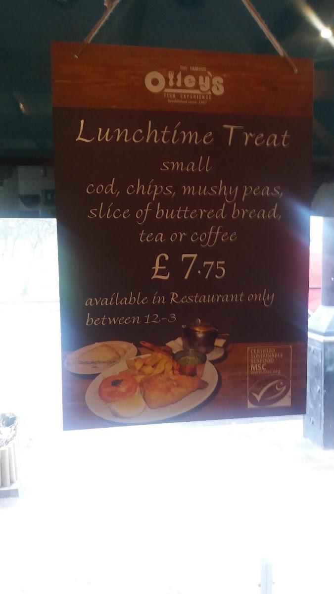 Olley's Fish and Chips Experience - 7
