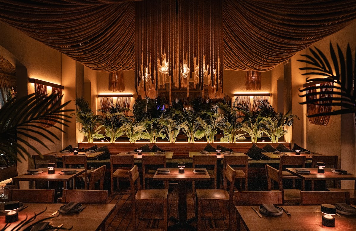 Costera Cocina Tulum - Chicago