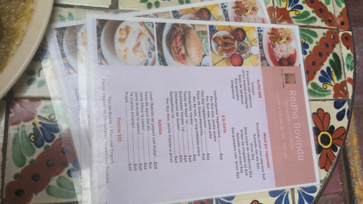 Radha Govinda Restaurante Vegetariano - 5