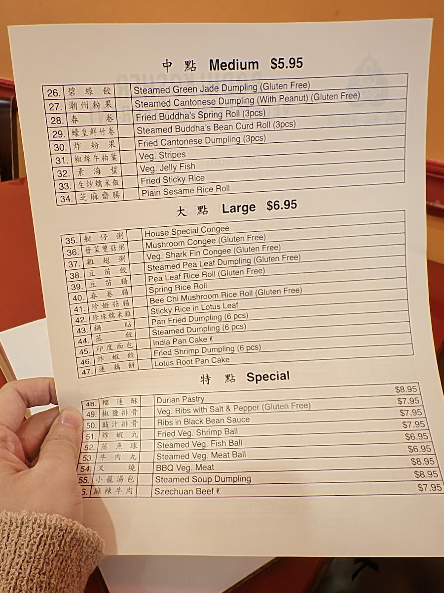 The Original Buddha Bodai Kosher Vegetarian Restaurant 佛菩提 - 1