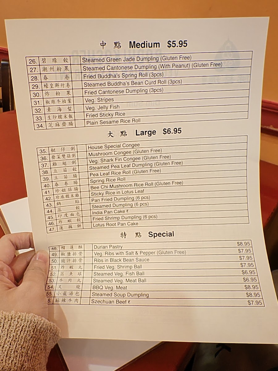 The Original Buddha Bodai Kosher Vegetarian Restaurant 佛菩提 - 2