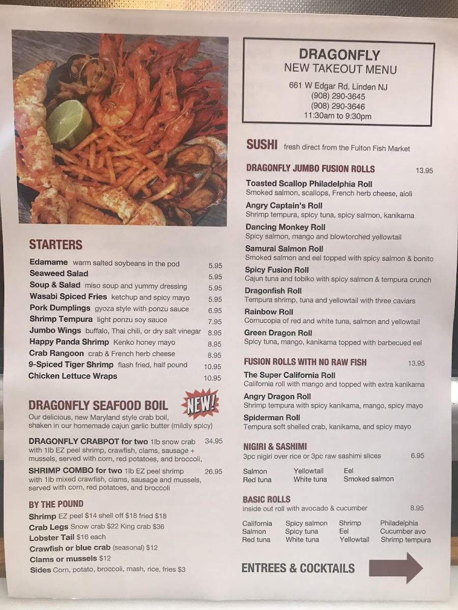 Dragonfly Linden - 3