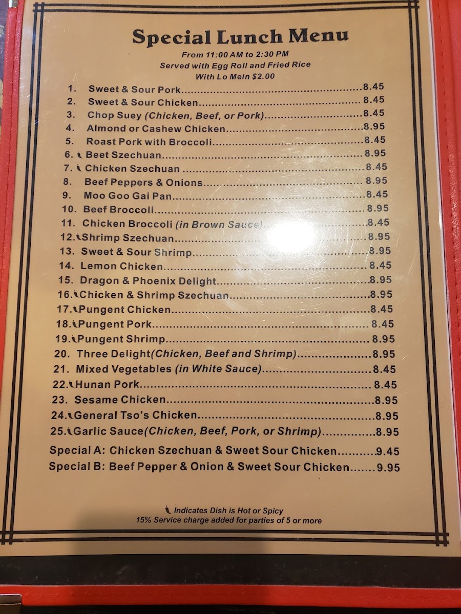 Taiwan Dragon Chinese Restaurant (台灣龍) - 8