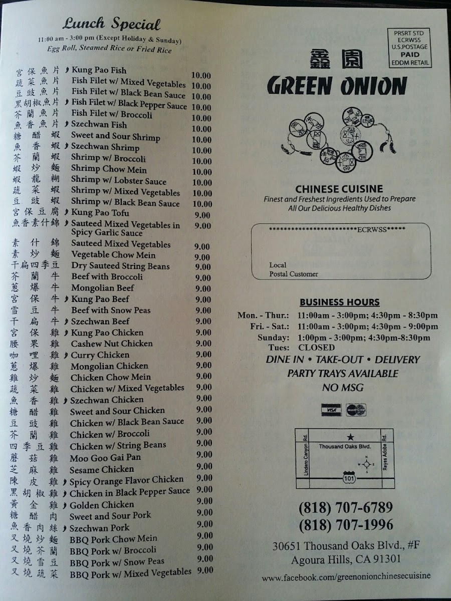 Green Onion Chinese Food - 10