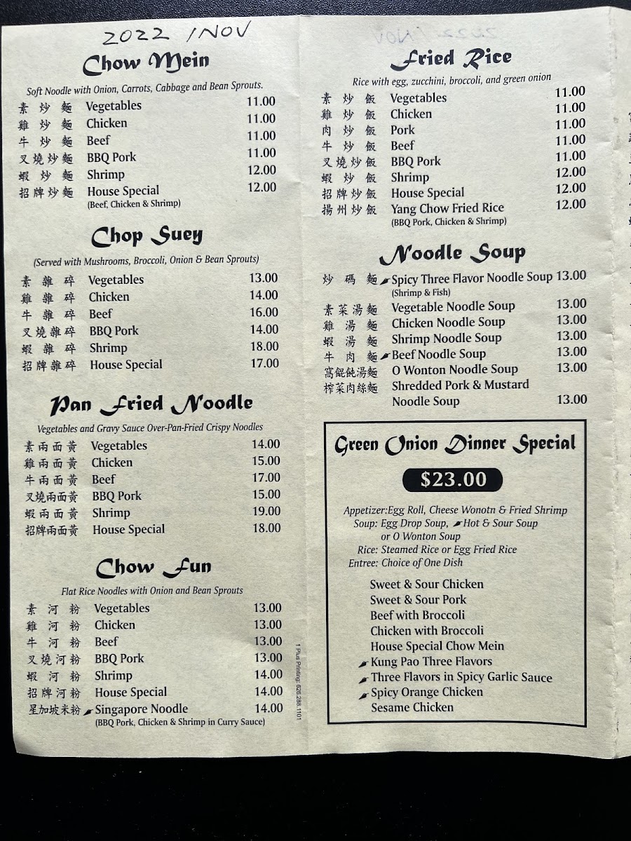 Green Onion Chinese Food - 2