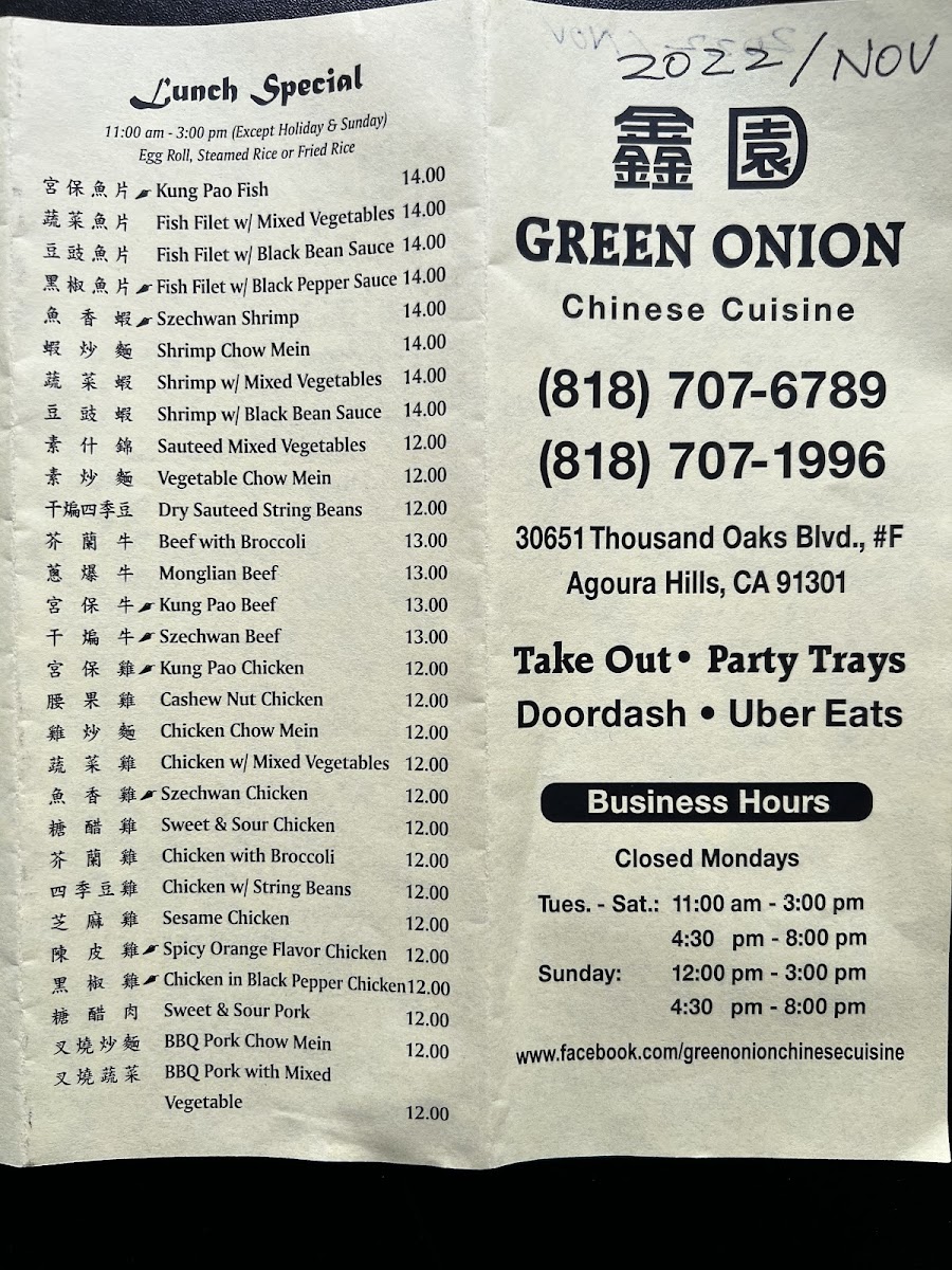 Green Onion Chinese Food - 3