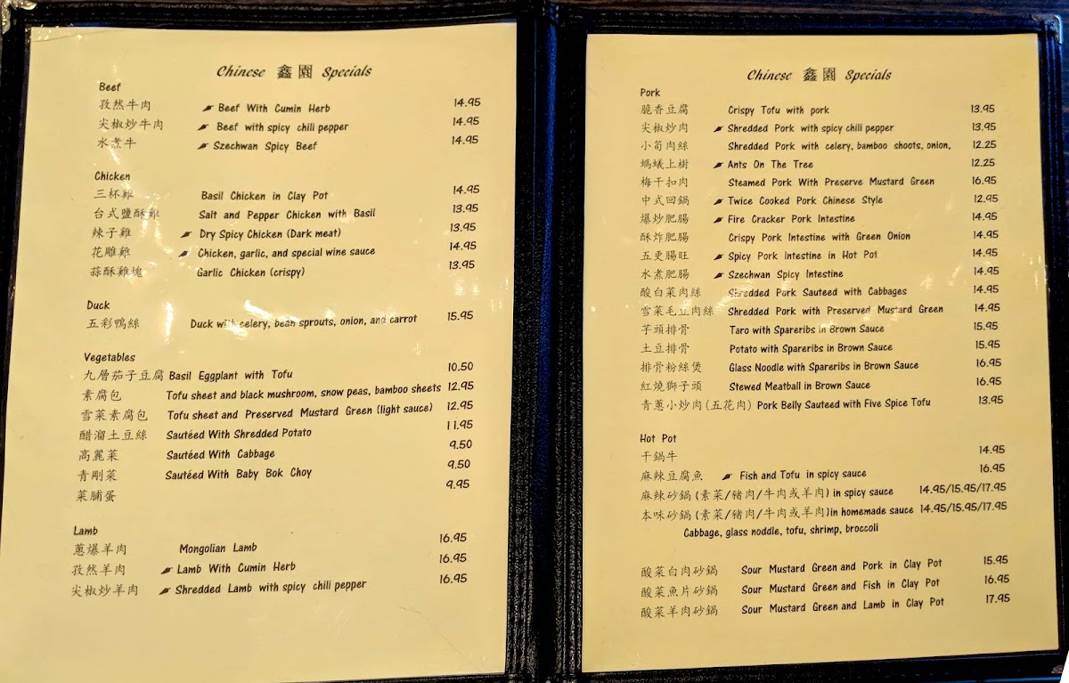 Green Onion Chinese Food - 5