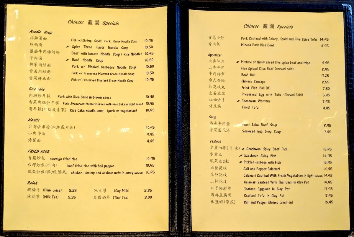 Green Onion Chinese Food - 6