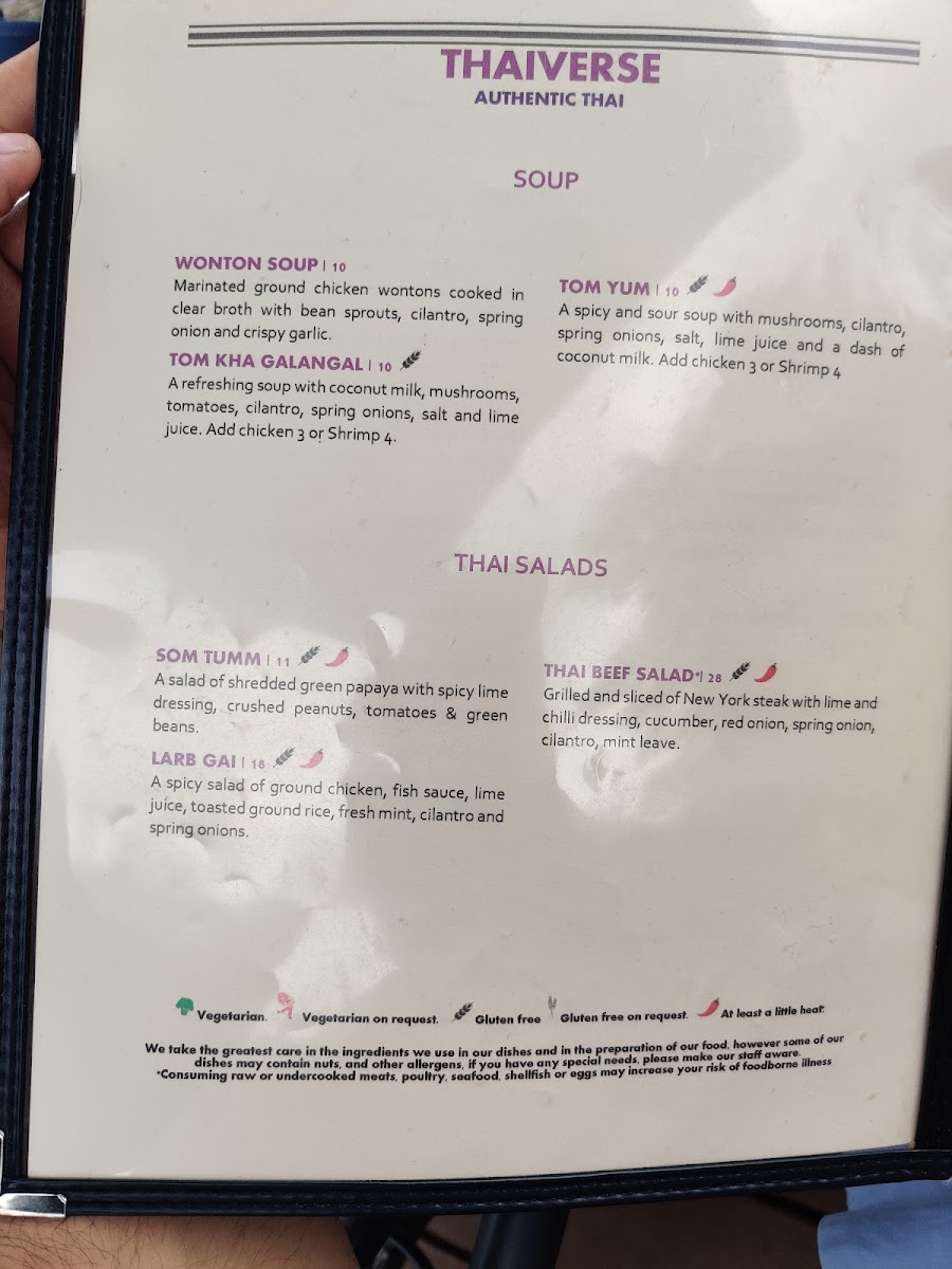 Thaiverse Restaurant Middleburg - 9