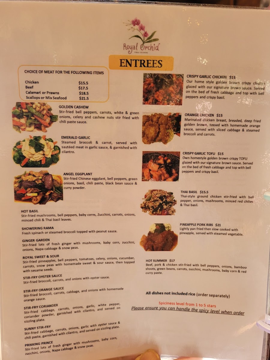 Royal Orchid Thai Cuisine - 10