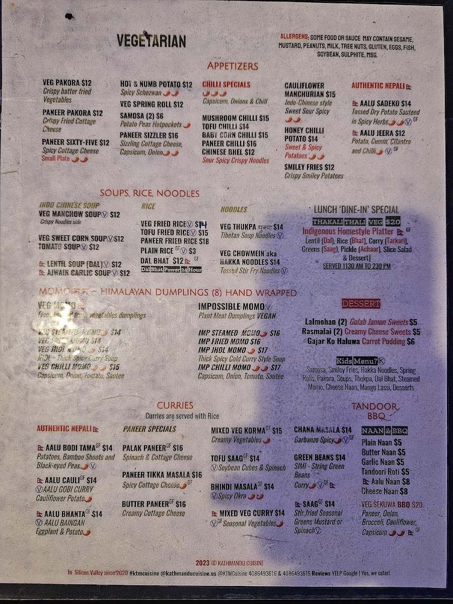 Kathmandu Cuisine - 8