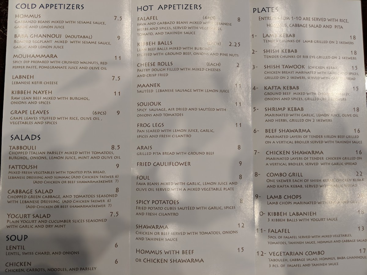 Skaf's Lebanese Cuisine - 10