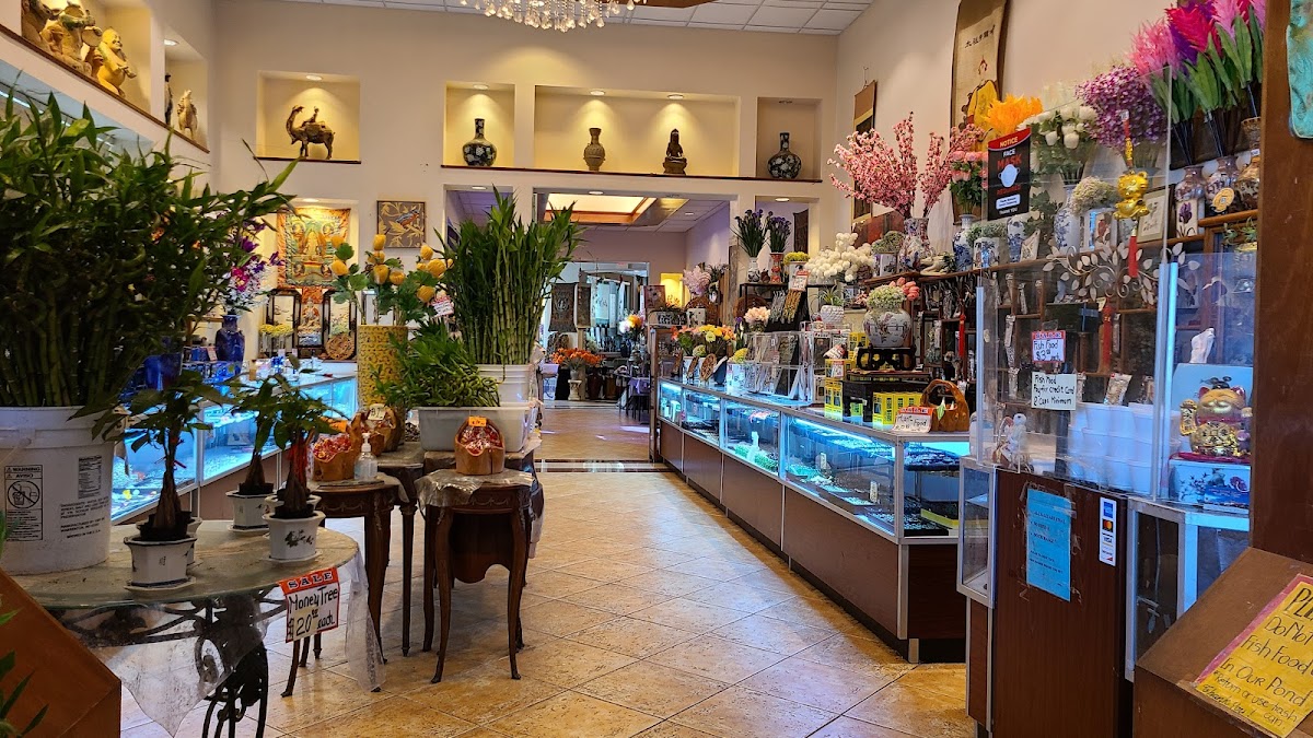 China Bear Buffet Restaurant