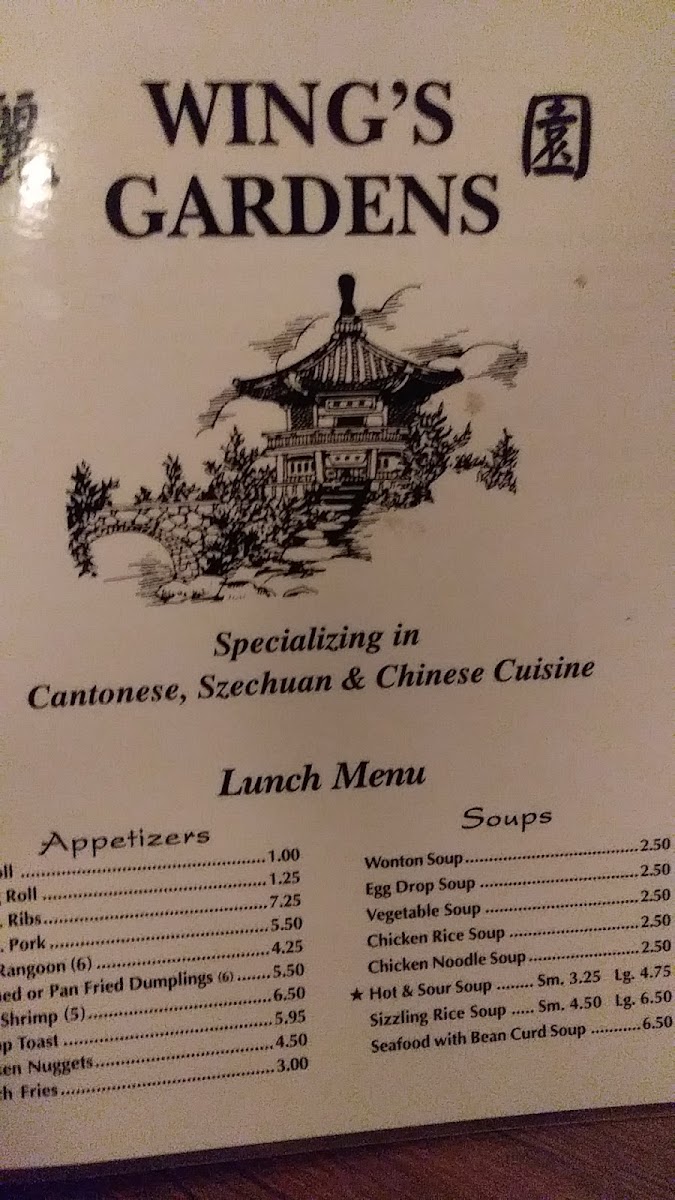 Wing's Gardens (Oak Park) - 10