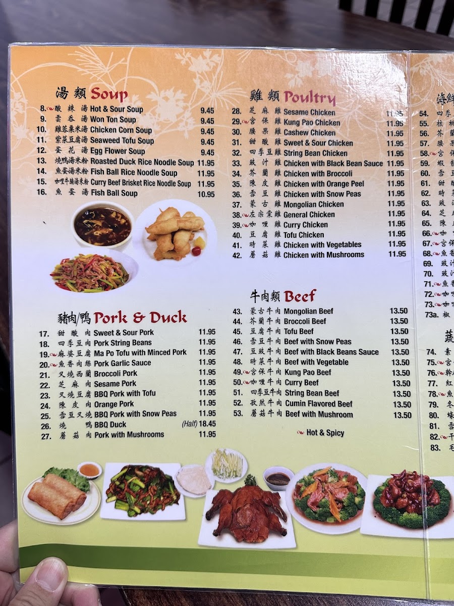 Four Seasons Gourmet Chinese Restaurant - 3