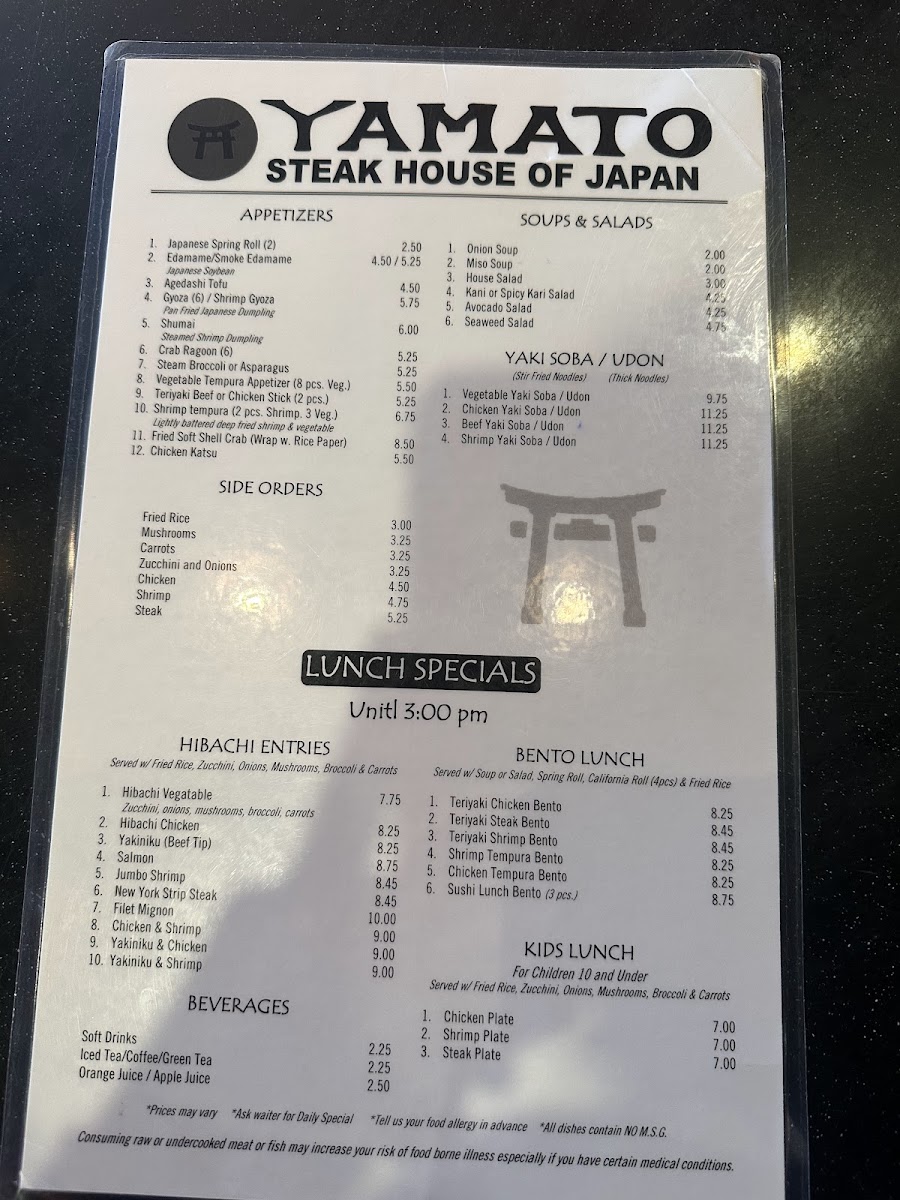 Yamato Steak House of Japan - 2