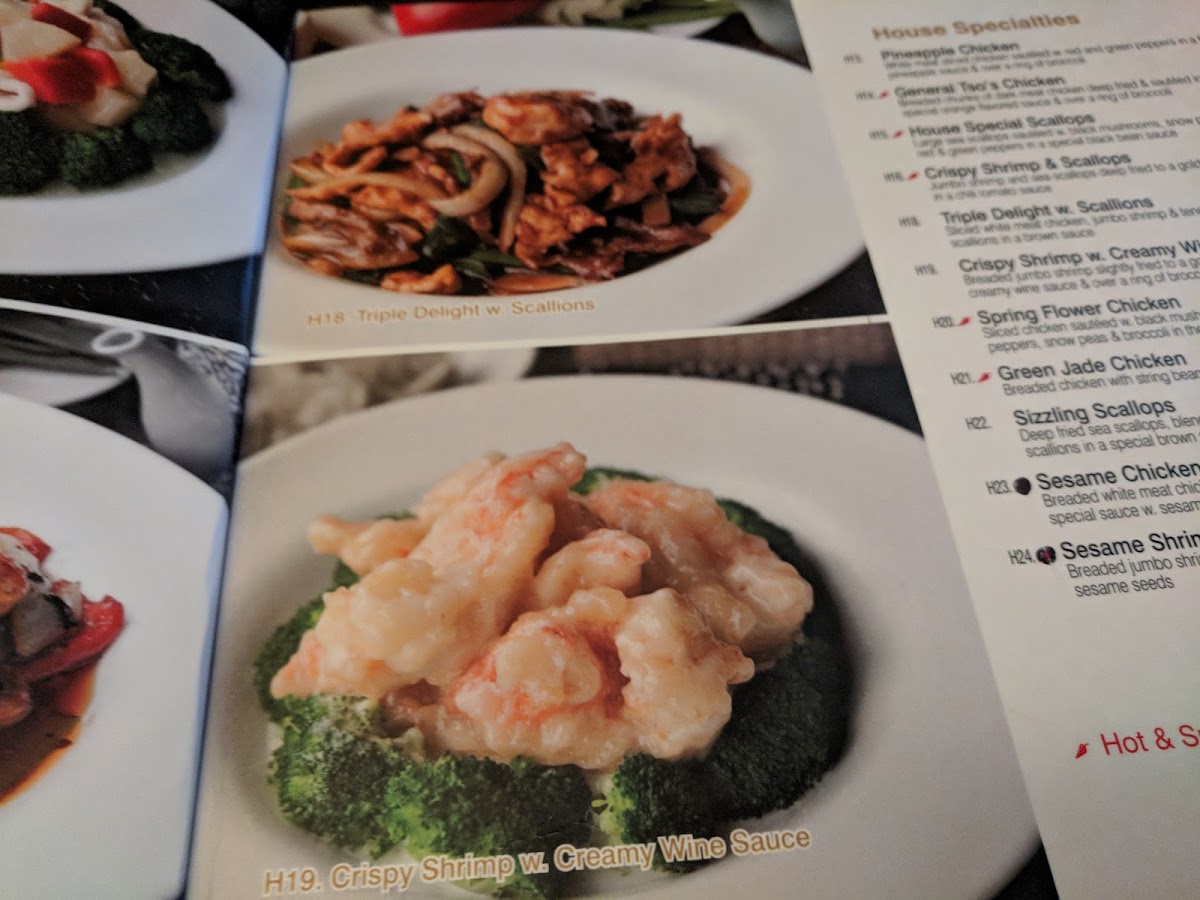 Imperial Dynasty - 6