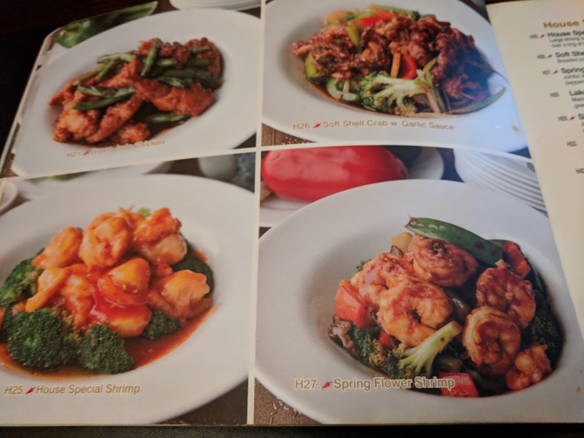 Imperial Dynasty - 7