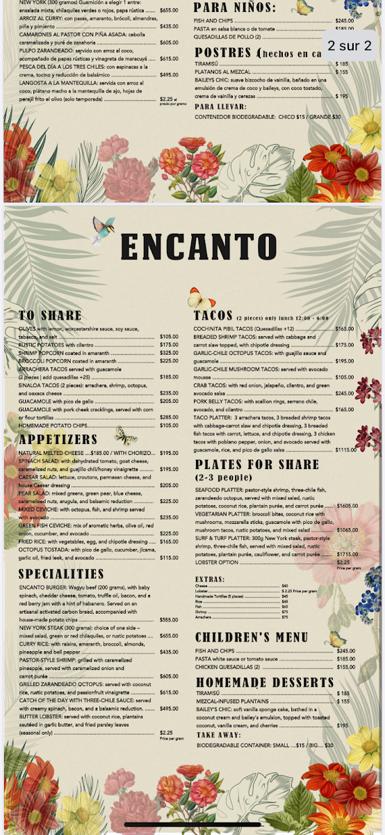 Encanto Cantina - 3