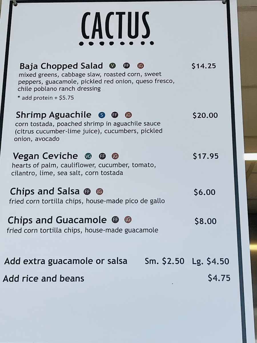 1919 Cafe - Huntington Library and Gardens - 3