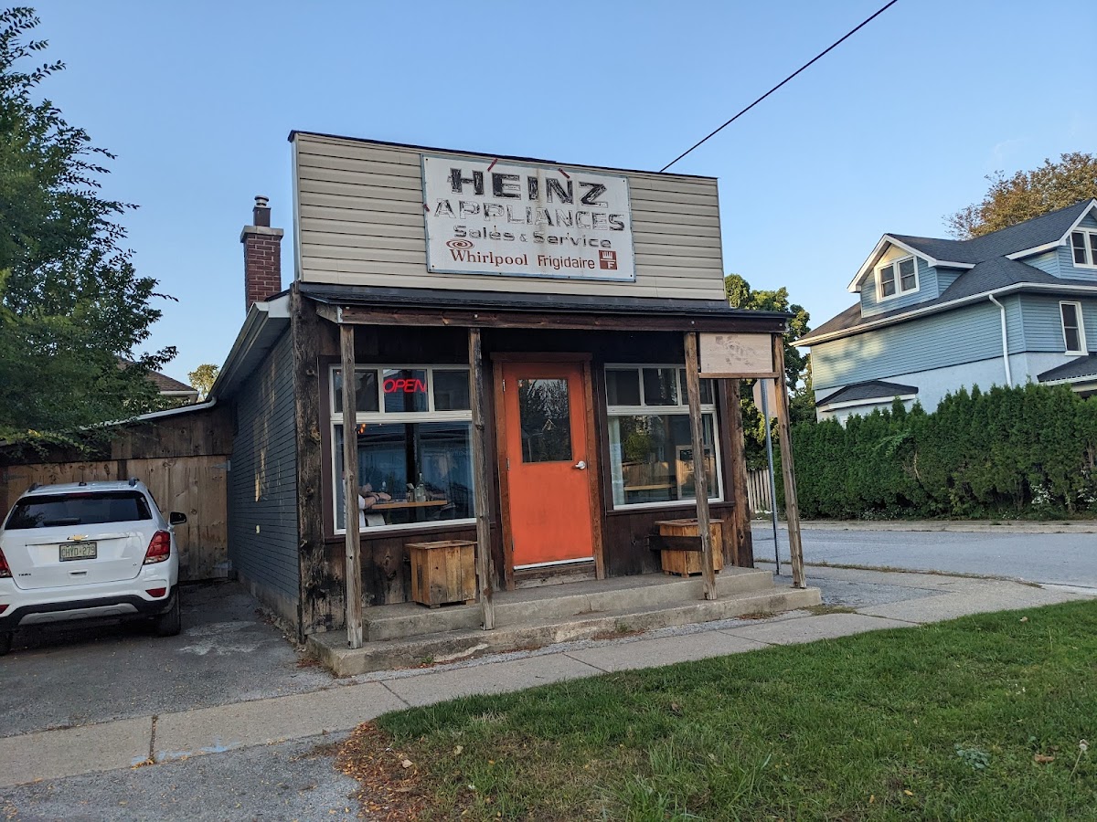 The Tangerine Tortoise