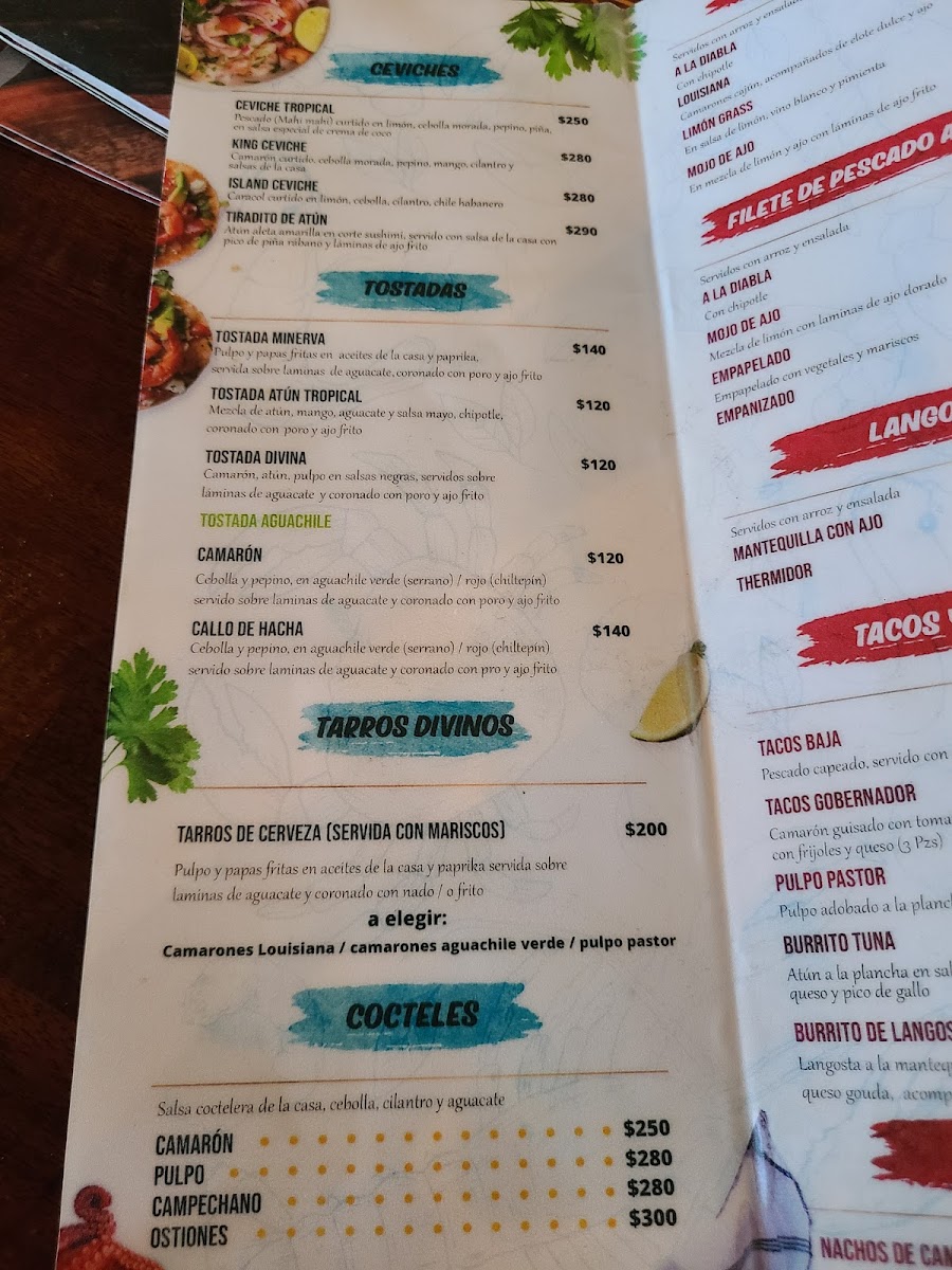 Agave cocktail bar - 8