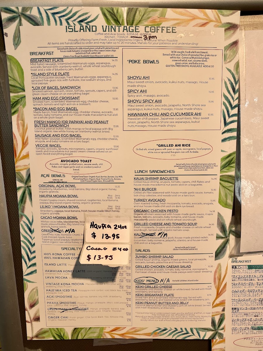 Island Vintage Coffee - 6