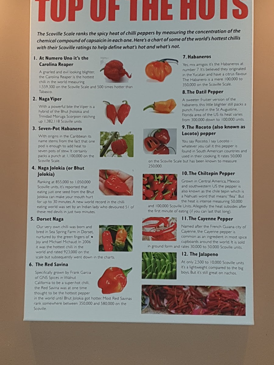 The Raj smoke and grill - 1