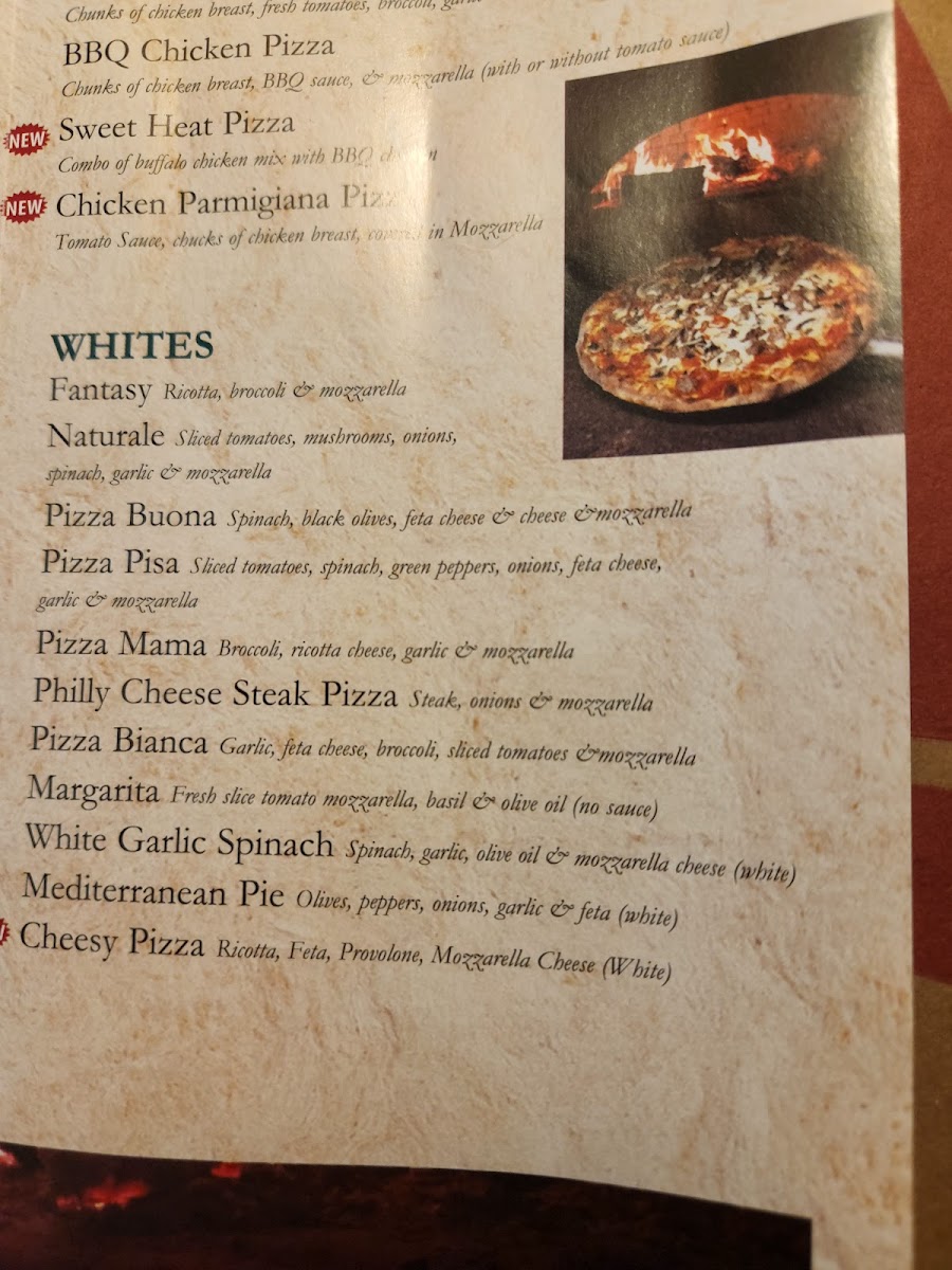 Wolcott Pizza Wood Fired Brick Oven - 1