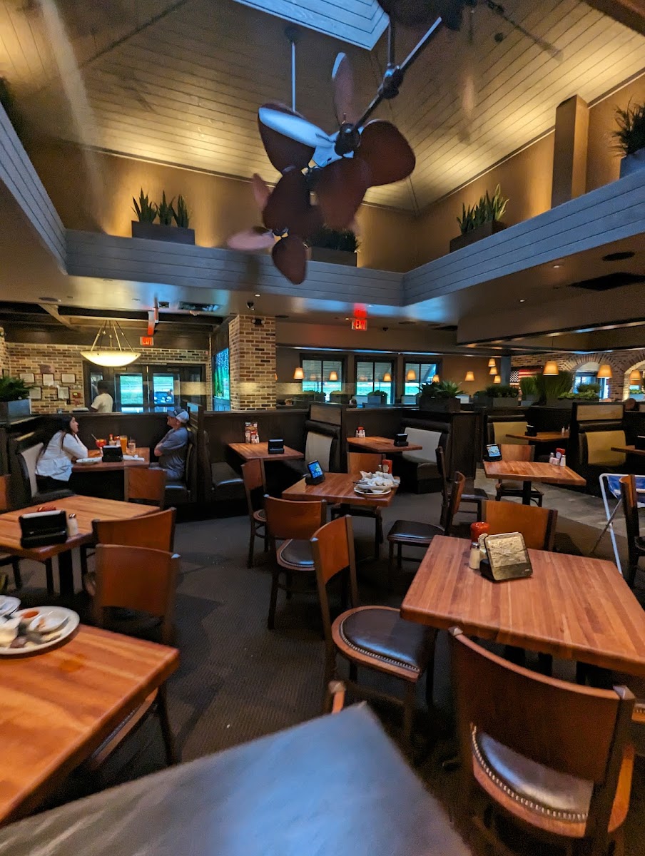 Cheddar's Scratch Kitchen