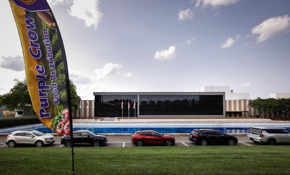 Purple Crow at Whitaker Park