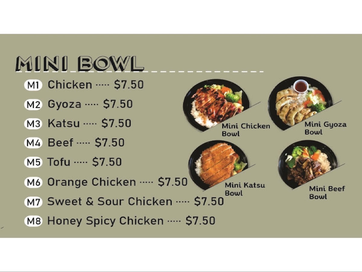 Ninja bowl teriyaki - FG - 1