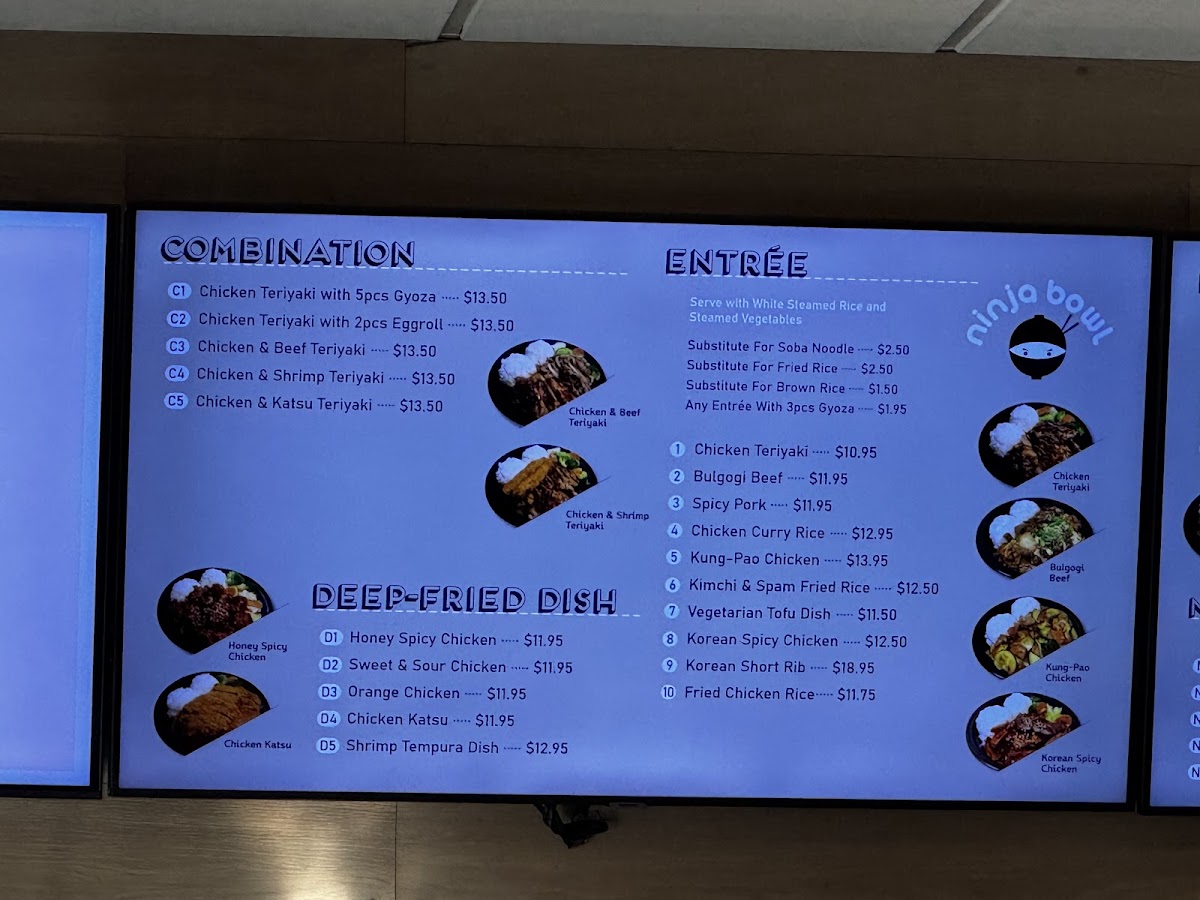 Ninja bowl teriyaki - FG - 6