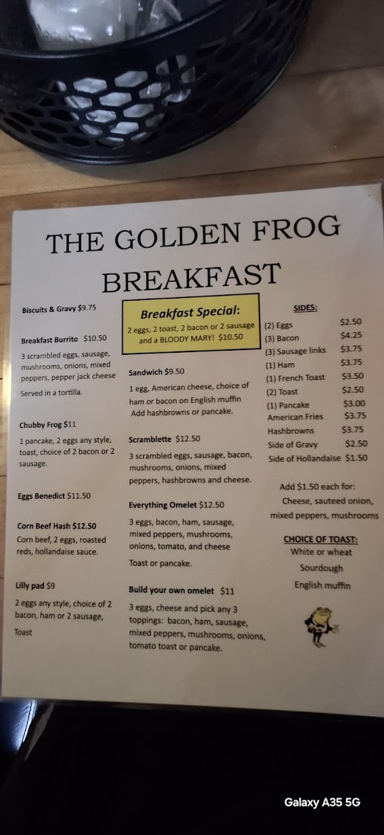The Golden Frog - 6