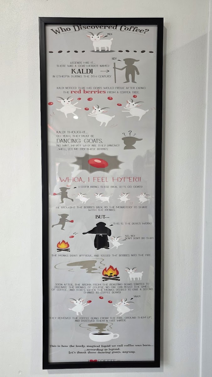 The Coffee Berry SF - 9