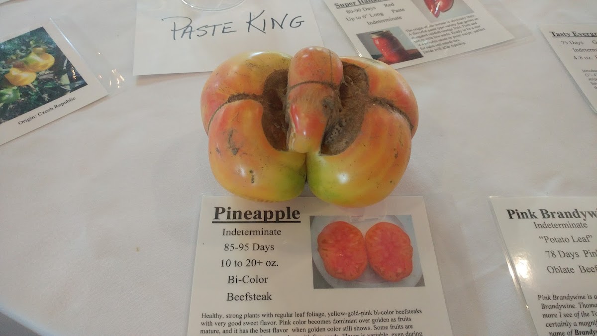 The Old Train Depot - 7