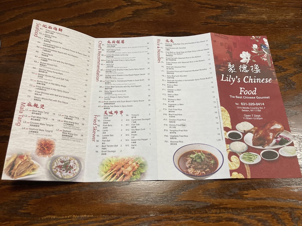 Lily's Chinese Food - 4