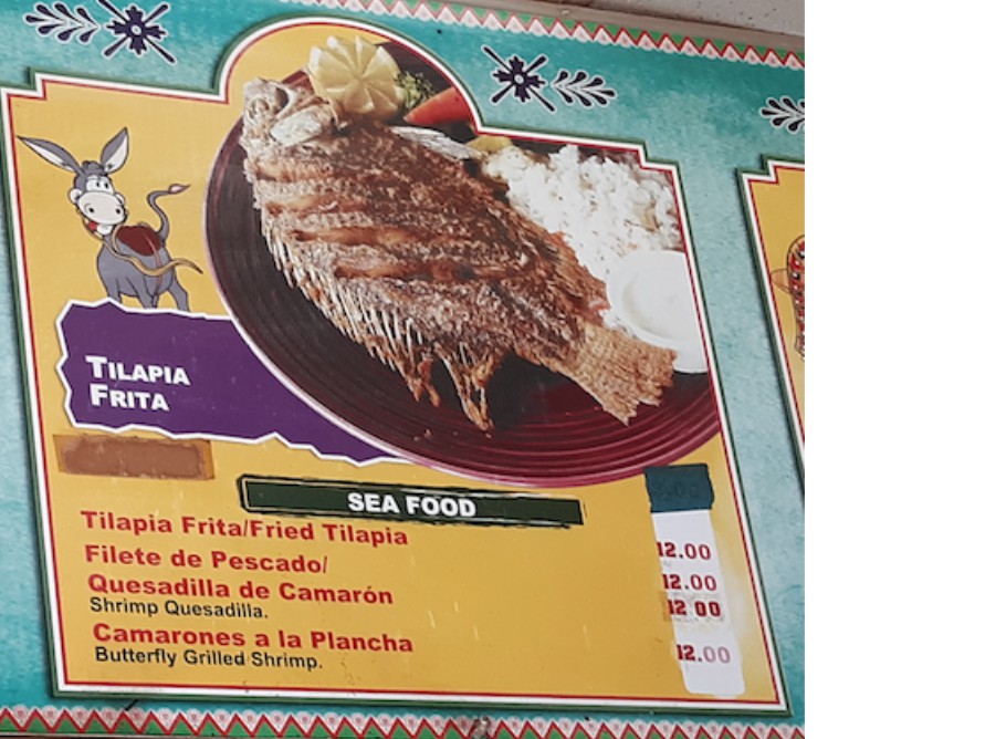 El paisa taqueria - 7