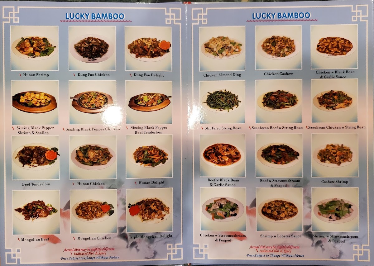 Lucky Bamboo Asian Cuisine - 10