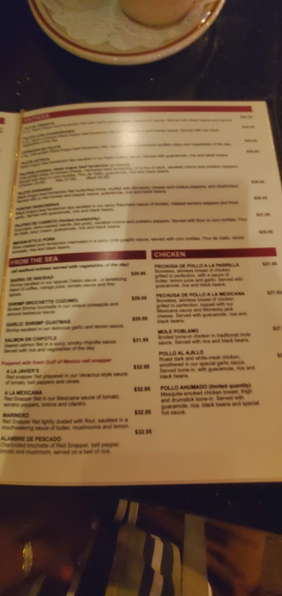 Javier's Gourmet Mexicano - 4