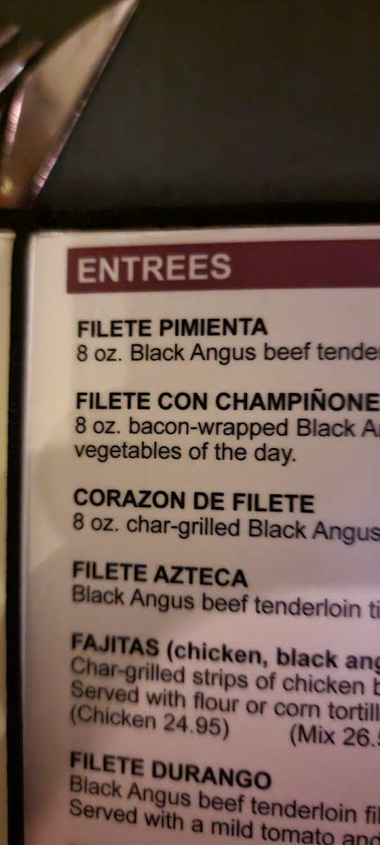 Javier's Gourmet Mexicano - 6