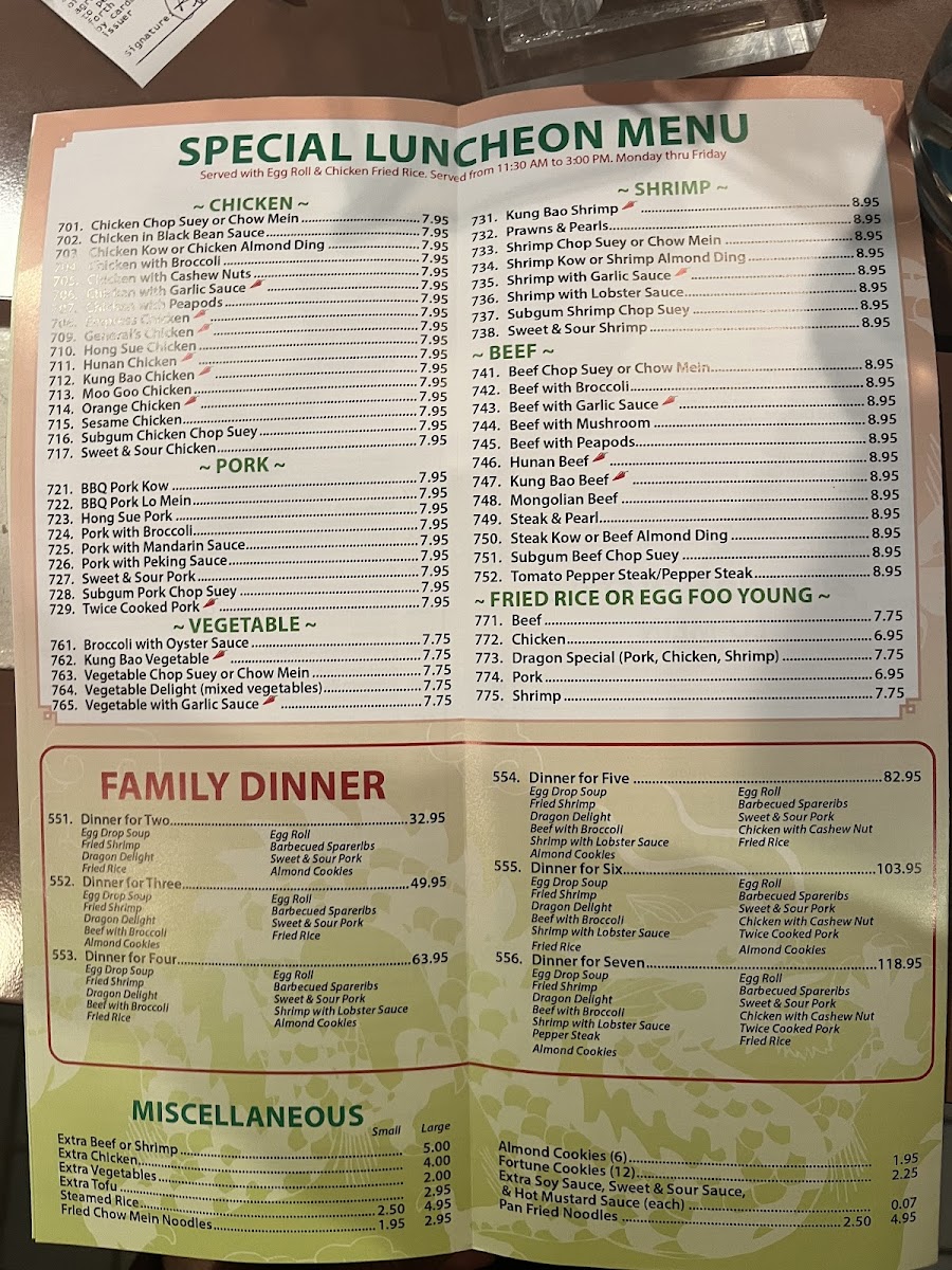 Dragon Light Restaurant - 9