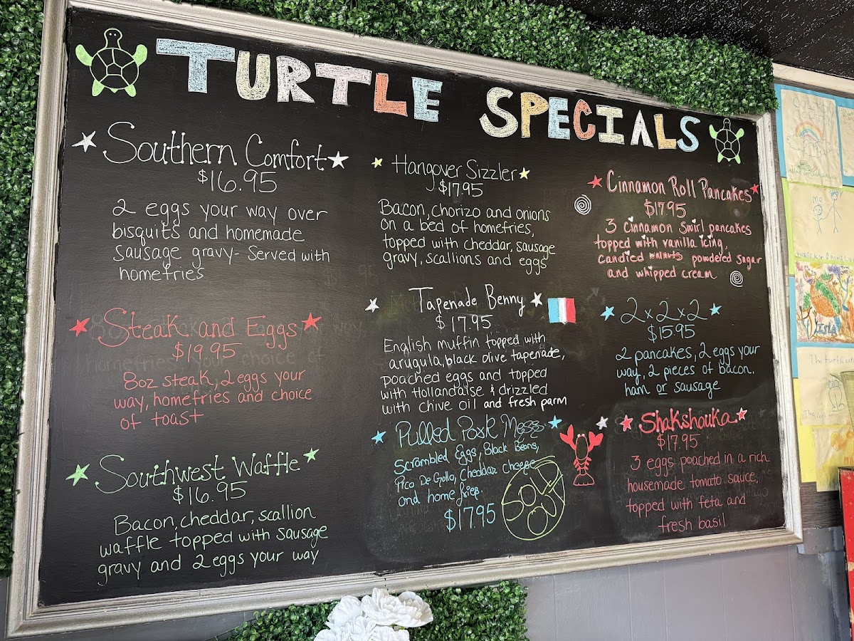 Turtle Cafe - 6