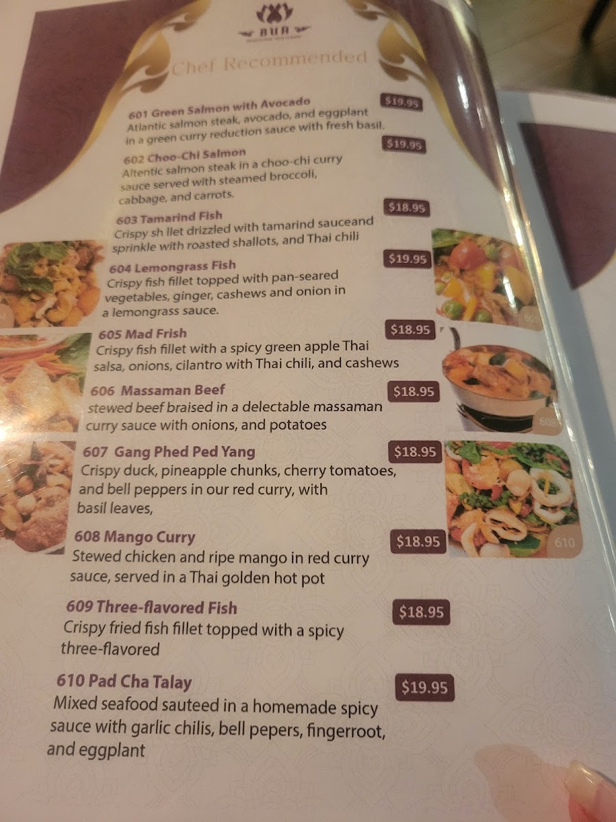 Bua Traditional Thai Cuisine (Tasty Thai Lotus) - 2