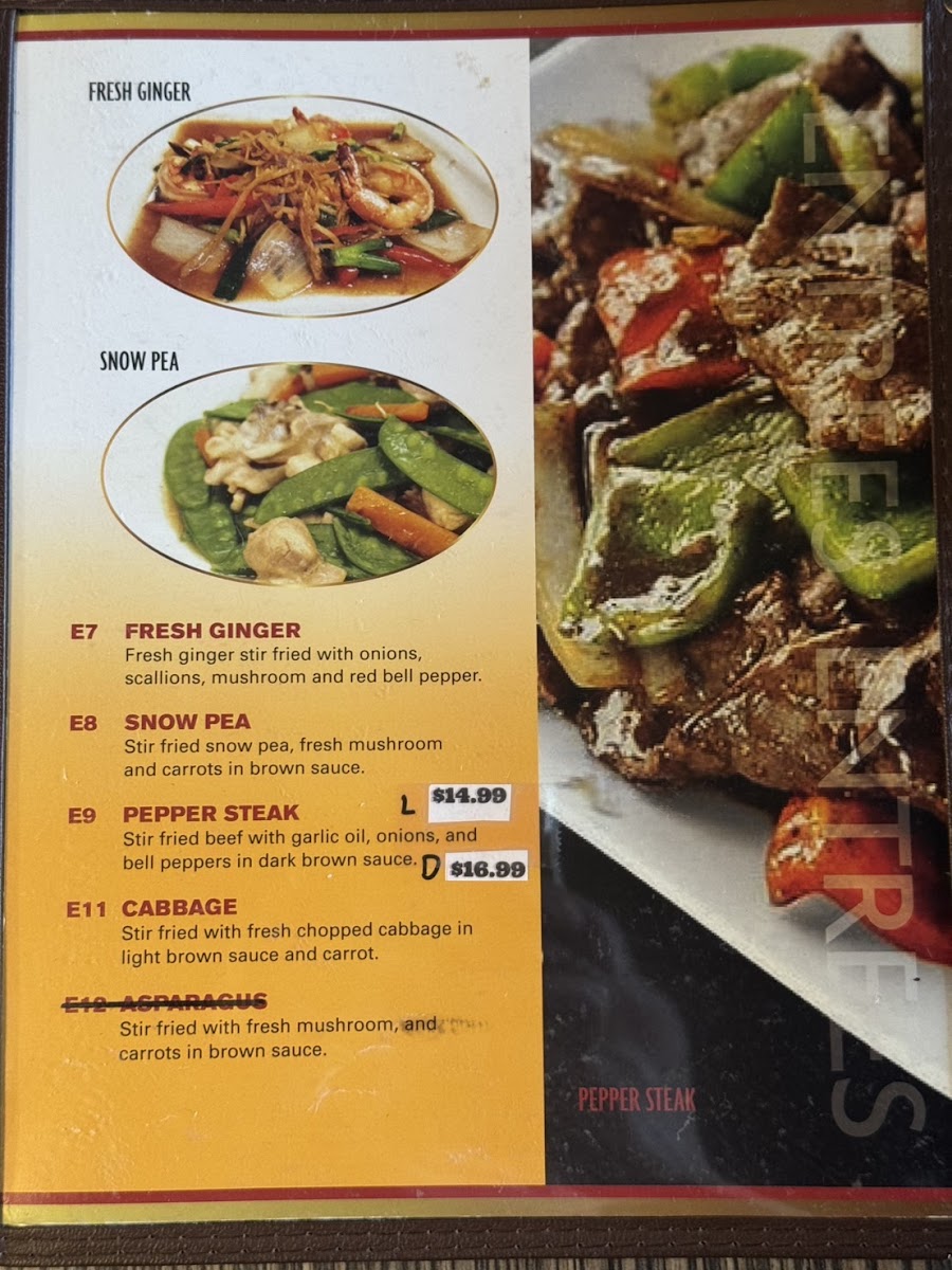 Thai Stellar League City - 8