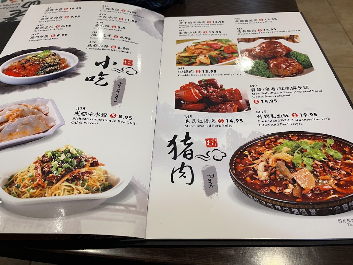 Chengdu Gourmet（Squirrel Hill) - 10